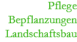 Pflege
Bepflanzungen
Landschaftsbau